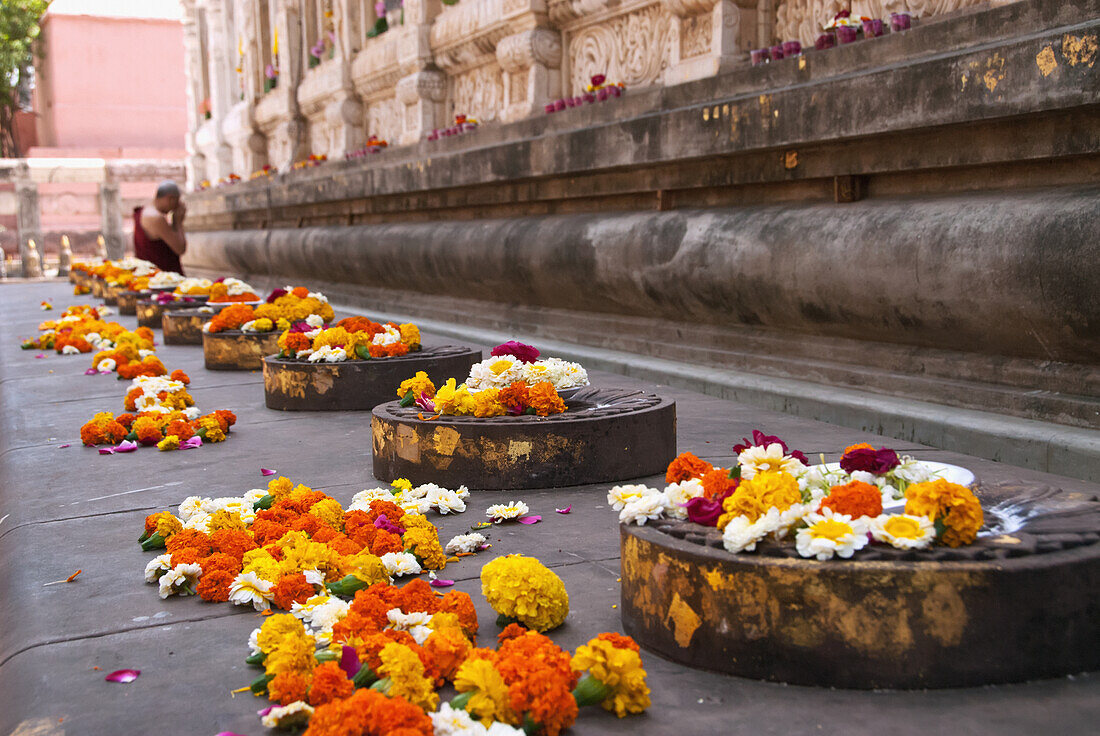 Monk praying at Mahabodhi Temple, Bodhgaya, Bihar, India