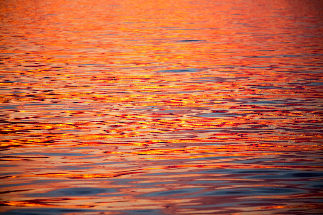 Sunset during late summer on west coast, Greenland