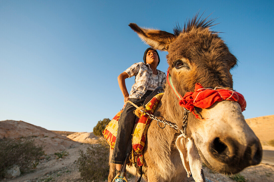 Junge sitzt auf einem Esel, Wadi Musa, Jordanien, Naher Osten