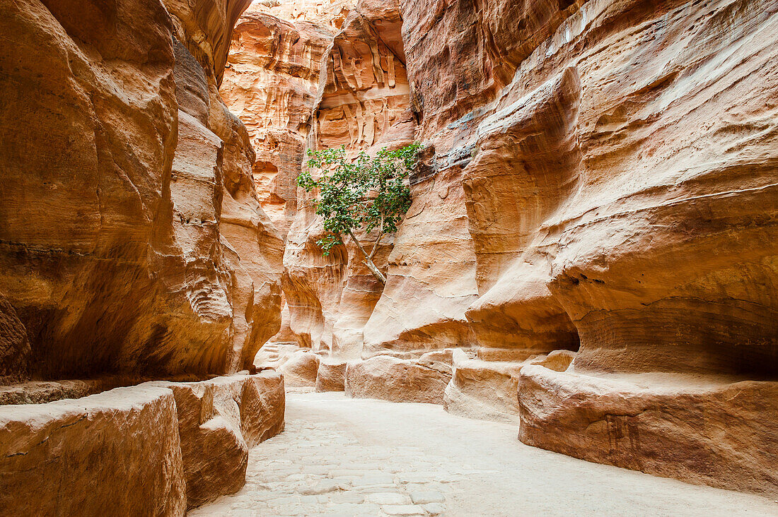 Siq, Petra, Wadi Musa, Jordanien, Mittlerer Osten