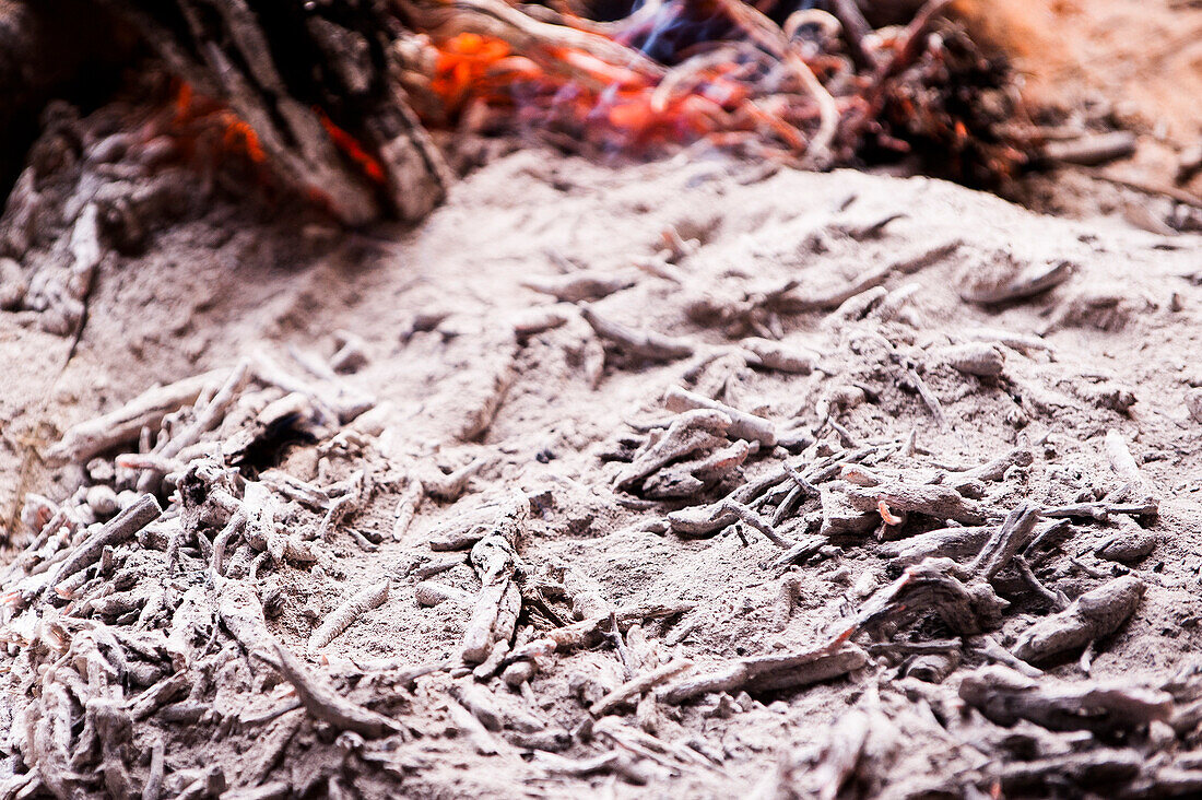 Bread covered with ash inside a Bedouin tent, Wadi Rum, Jordan, Middle East