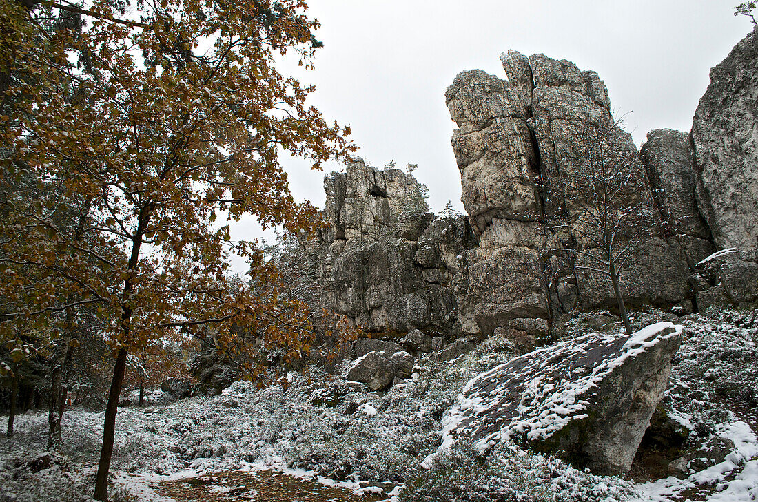 Quarzfelsen, Großer Pfahl bei Viechtach im Neuschnee, Bayrischer Wald, Bayern, Deutchland