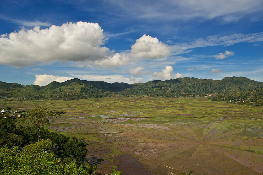 Spinnennetz ähnlich angelegte Reisfelder bei Ruteng im Westen von Flores, Nusa Tenggara, Kleine Sundainseln, östliche, Indonesien
