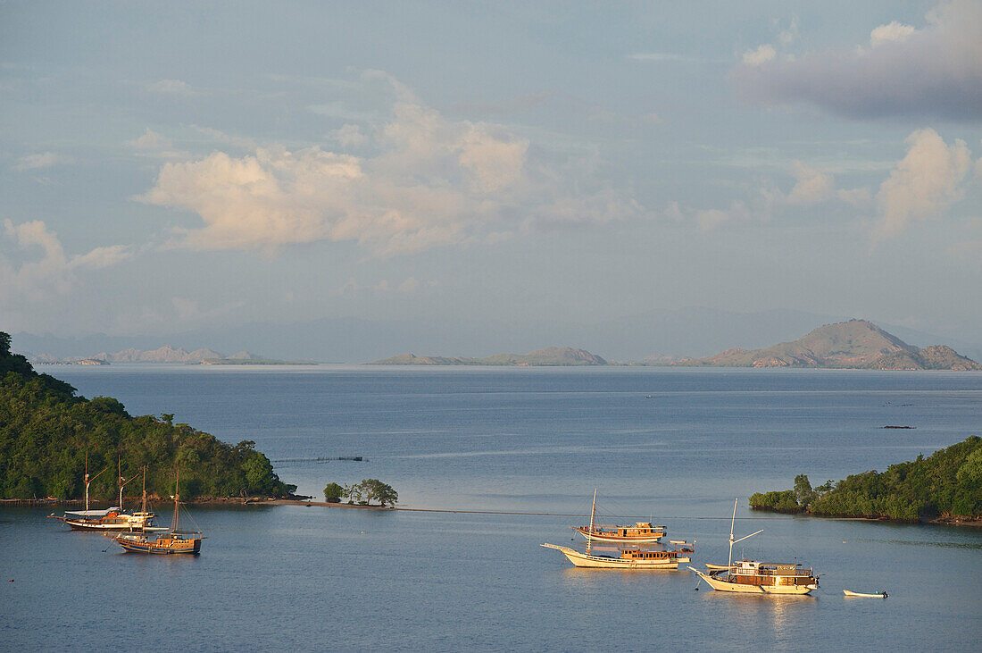 Morgendlicher Blick über den Hafen von Labuhanbajo in Richtung Komodo Nationalpark im Westen von Flores, Nusa Tenggara, Kleine Sundainseln, östliche, Indonesien