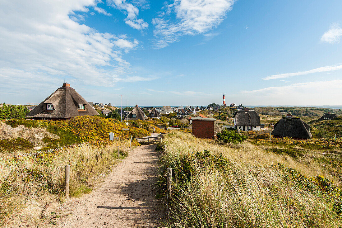 Thatched-roof houses in the dunes, Hoernum, Sylt, Schleswig-Holstein, Germany