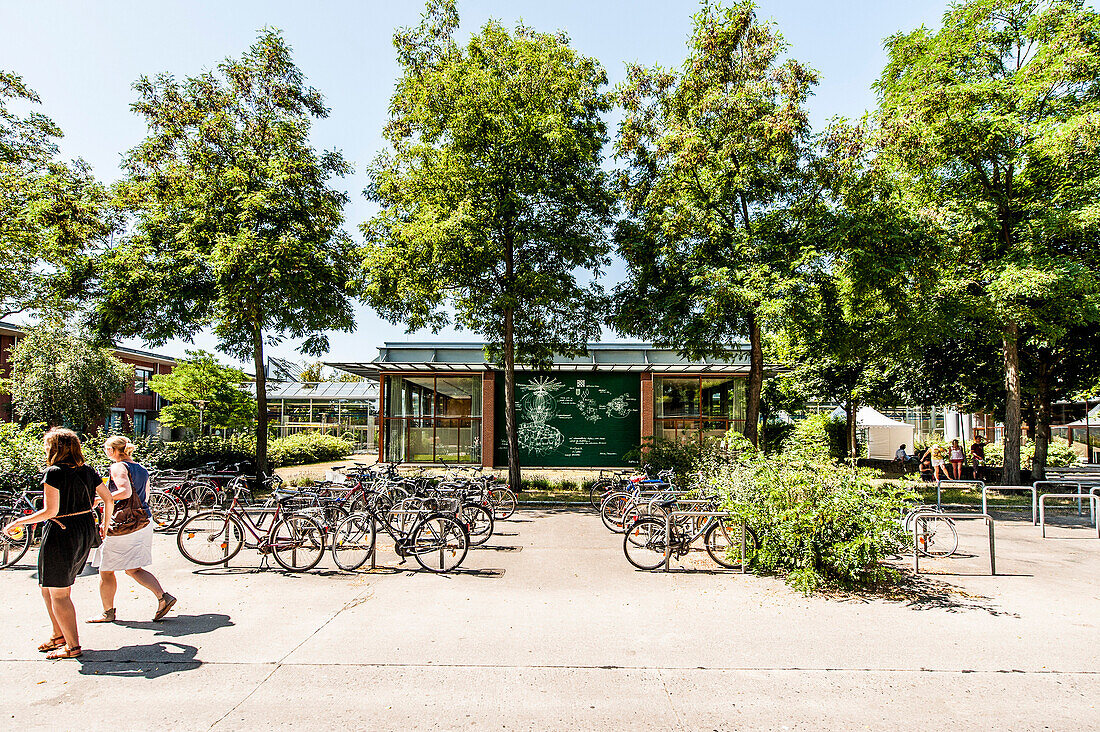 Bicycle stand, Leuphana University, Lueneburg, Lower Saxony, Germany