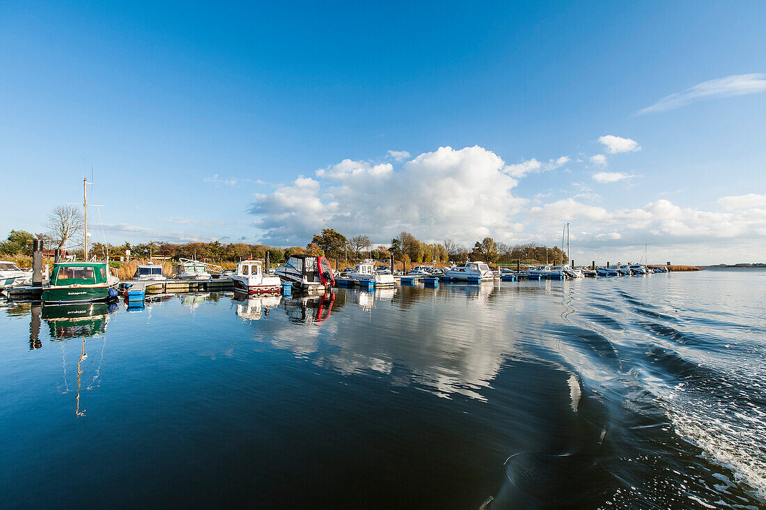 Blick auf Hafen und Insel Öhe, Schaprode, Insel Rügen, Mecklenburg-Vorpommen, Deutschland