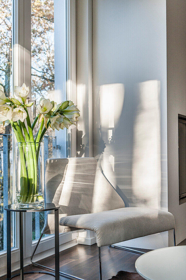 Blumenvase mit Amaryllis in einer modernen Wohnungseinrichtung, Hamburg, Deutschland