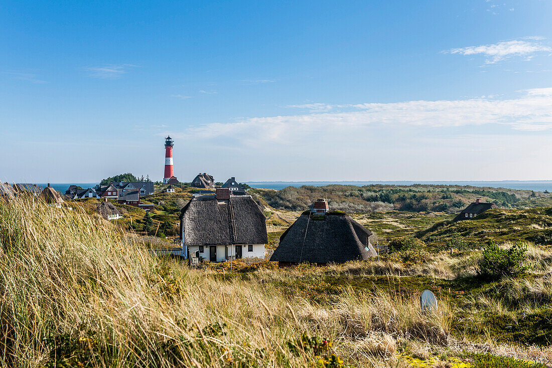 Lighthouse and thatched-roof houses in the dunes, Hoernum, Sylt, Schleswig-Holstein, Germany