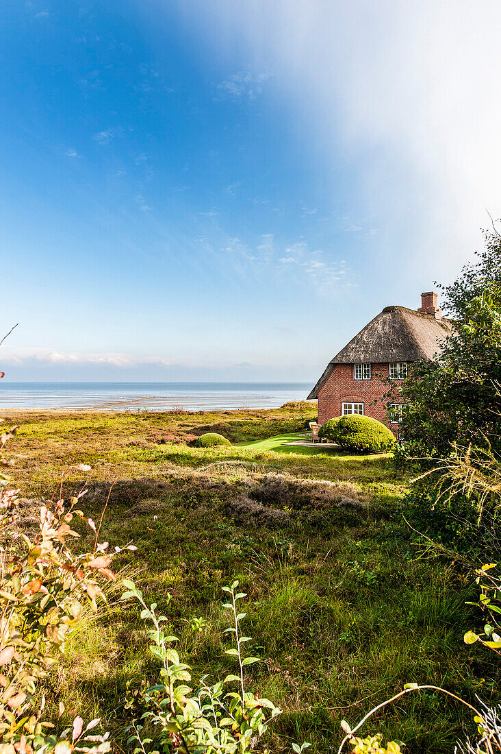 Reetdachhaus mit Blick auf das Wattenmeer, Kampen, Sylt, Schleswig-Holstein, Deutschland