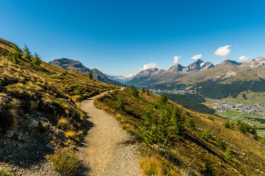 Höhenwanderweg Muottas Muragl, Pontresina, Oberengadin, Graubünden, Schweiz