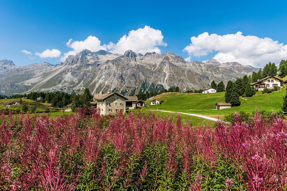 Häuser im Flextal, Sils-Maria, Oberengadin, Kanton Graubünden, Schweiz