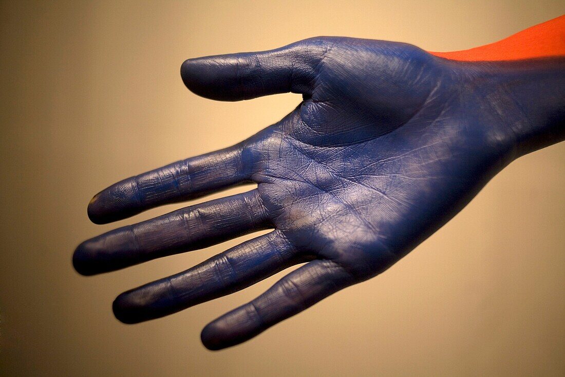 A model shows her hand painted in blue during a body painting session with make-up artist Erika Monroy, founder of Akin Body Painting, in Toluca, Mexico, November 9, 2012
