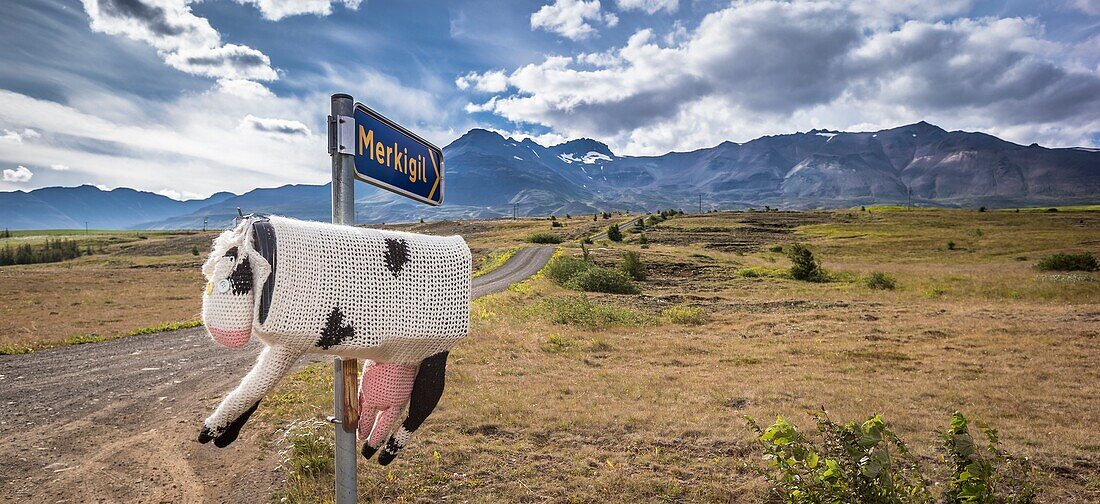 Decorated mailboxes, Northern Iceland