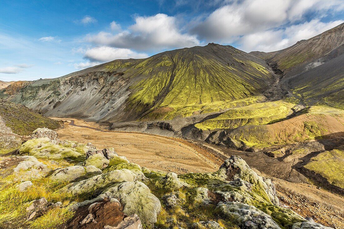 Lava and moss landscape, Landmannalaugar, Iceland Landmannalaugar- popular destination for hiking and camping with unusual geological elements such as multicolored rhyolite, geothermal pools and lava fields
