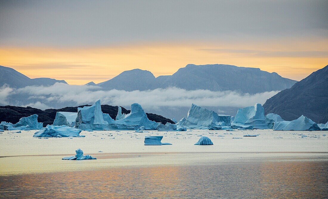 Icebergs, Scoresbysund, Greenland.