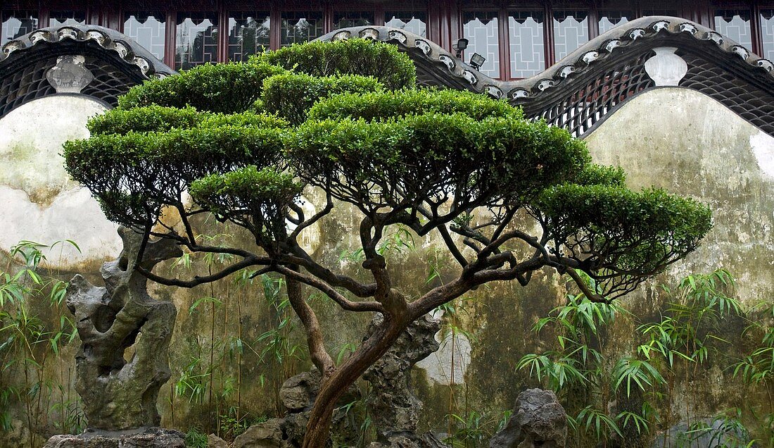 Art of Chinese garden design, Yu Gardens in Sahnghai