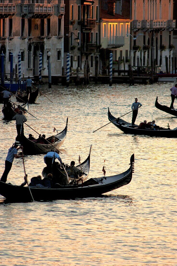 Gondolas carrying tourists on Grand Canal in Venice