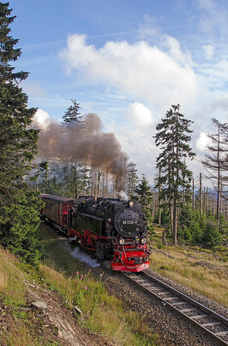 Historic steam train on the way to the Brocken, Harz, Saxony-Anhalt, Germany, Europe