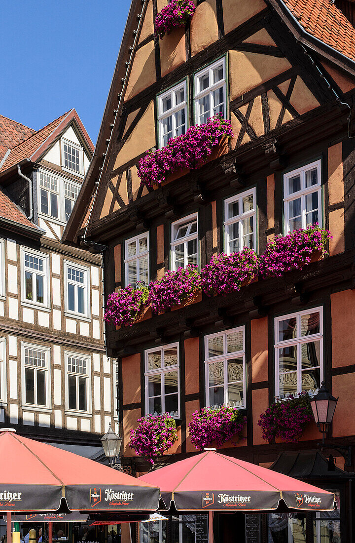 Café am Marktplatz, Quedlinburg, Harz, Sachsen-Anhalt, Deutschland, Europa