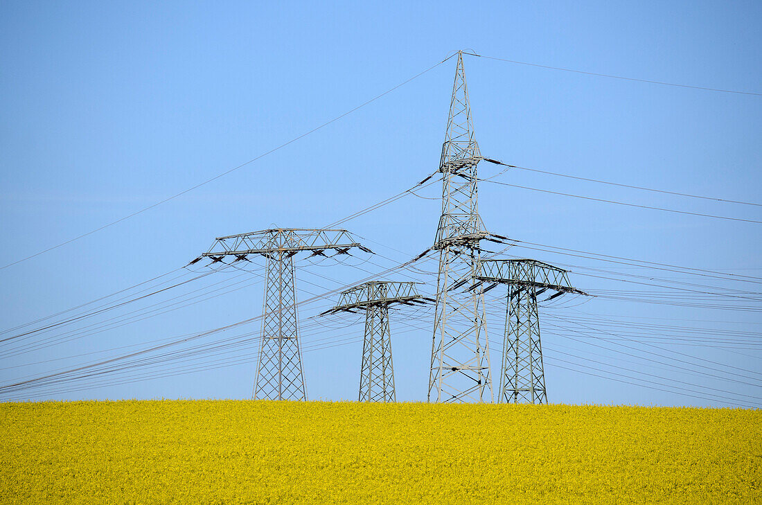 Electricity Pylon in a rapefield, Ruebeland, Harz, Saxony-Anhalt, Germany, Europe