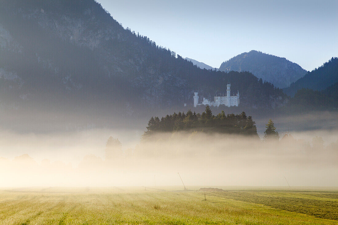 Morgennebel am Schloss Neuschwanstein bei Schwangau, Füssen, Allgäu, Bayern, Deutschland