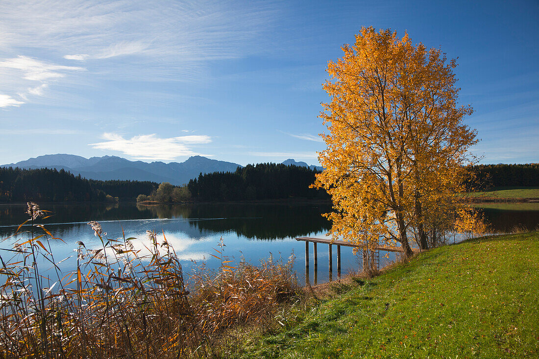 Bootssteg, Blick über den Forggensee auf die Allgäuer Alpen mit dem Tegelberg, Allgäu, Bayern, Deutschland