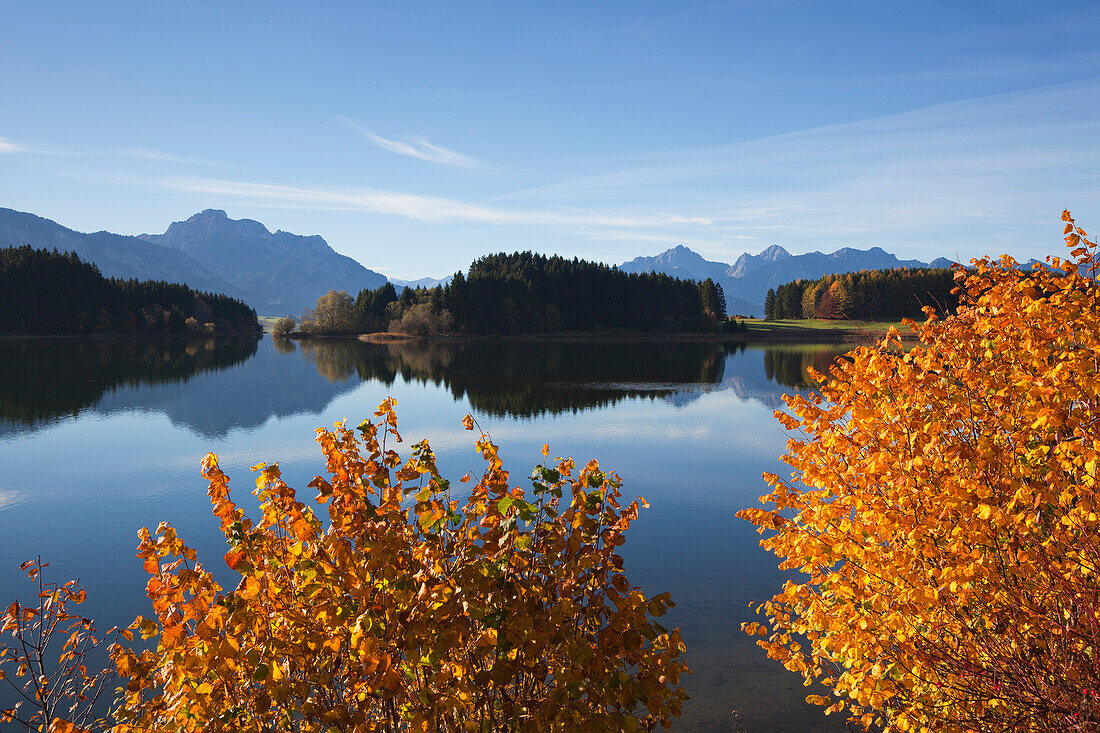 View over lake Forggensee to the Allgaeu Alps, Saeuling and Tannheim mountains, Allgaeu, Bavaria, Germany
