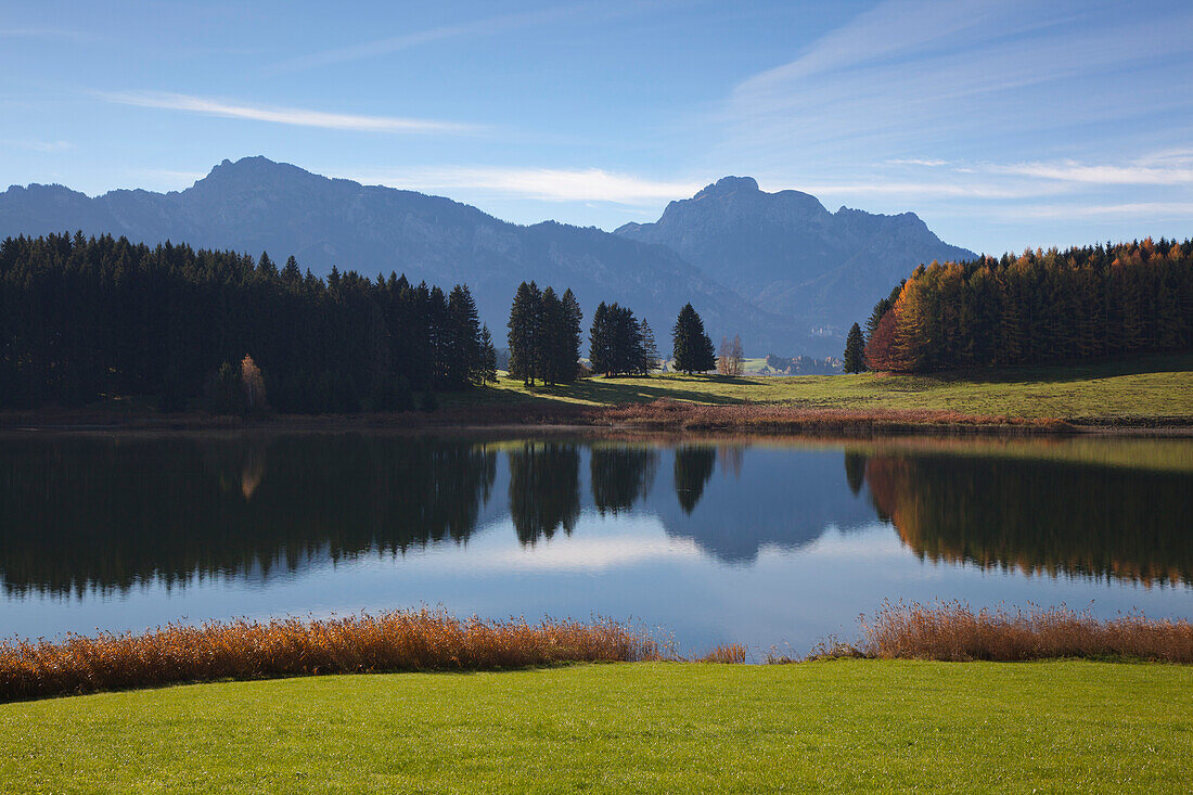 Blick über den Forggensee auf Tegelberg und Säuling, Allgäu, Bayern, Deutschland