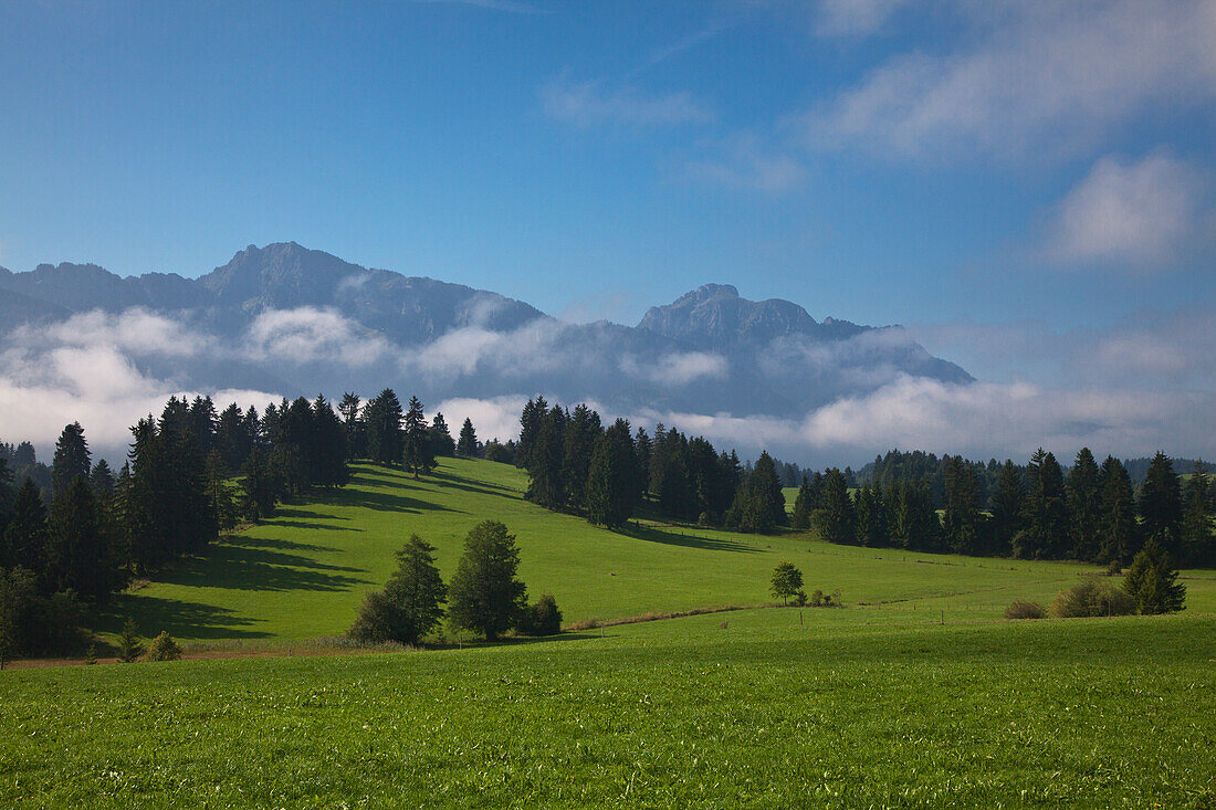 Nebelschwaden lösen sich auf, Tegelberg und Säuling im Hintergrund, bei Schwangau, Füssen, Allgäu, Bayern, Deutschland