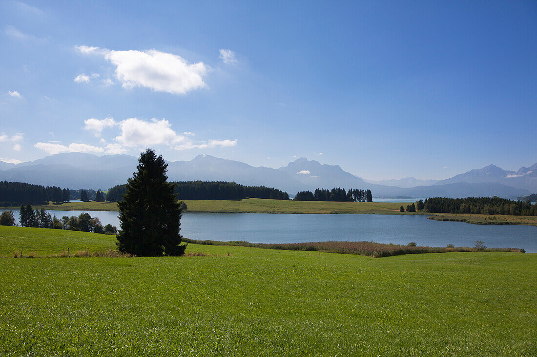 View over lake Forggensee to the Allgaeu Alps with Tegelberg, Saeuling and Tannheim mountains, Allgaeu, Bavaria, Germany