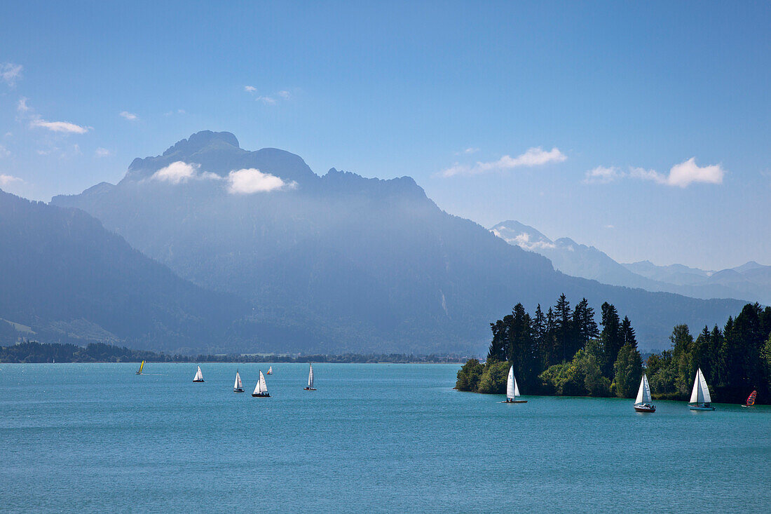 Segelboote auf dem Forggensee, vor dem Säuling im Hintergrund, Allgäu, Bayern, Deutschland