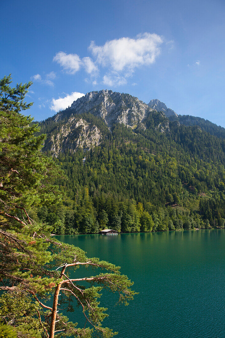 Alpsee and Saeuling, near Hohenschwangau, Fuessen, Allgaeu, Bavaria, Germany