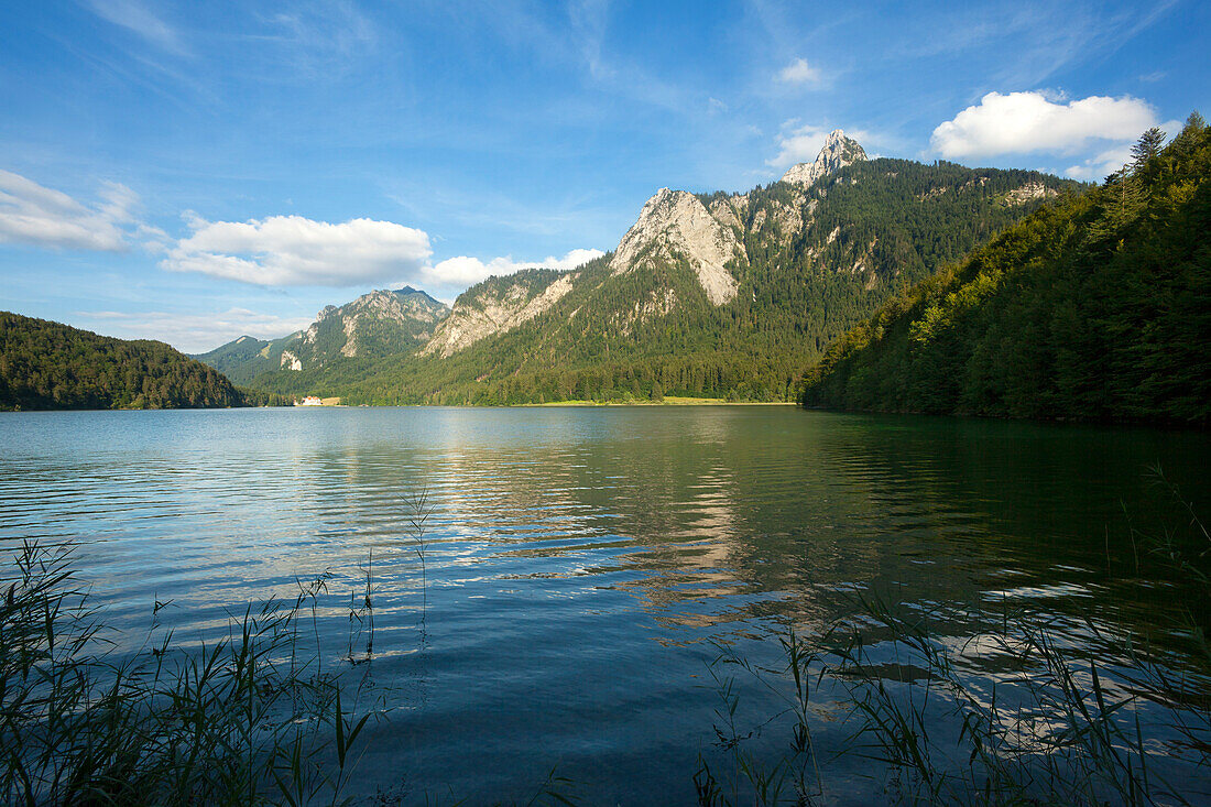 Blick über den Alpsee auf Schloss Neuschwanstein, Tegelberg und Säuling, bei Hohenschwangau, Füssen, Allgäu, Bayern, Deutschland