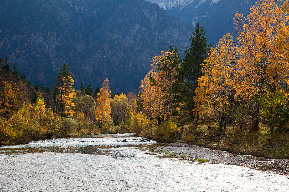 Ammer valley with Autumn foliage, near Oberammergau, Bavaria, Germany