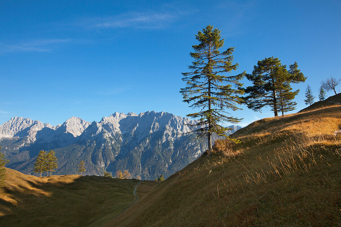 Blick vom Hohen Kranzberg zum Karwendelgebirge, bei Mittenwald, Bayern, Deutschland