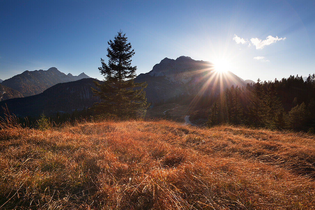 Sunset, view from Hoher Kranzberg to the Wetterstein mountains with Arnspitze, near Mittenwald, Bavaria, Germany