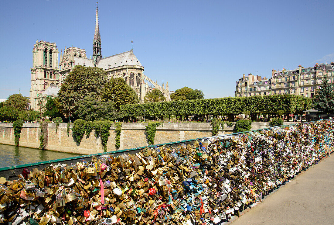 Schlösser der Liebe am Brückengeländer der Brücke Pont de L'Archeveche und Notre Dame, Paris, Frankreich, Europa