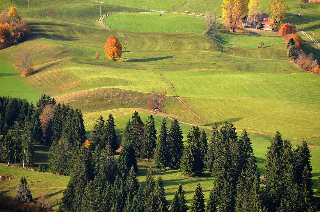 Hügellandschaft bei Pfronten, Ostallgäu, Schwaben, Bayern, Deutschland