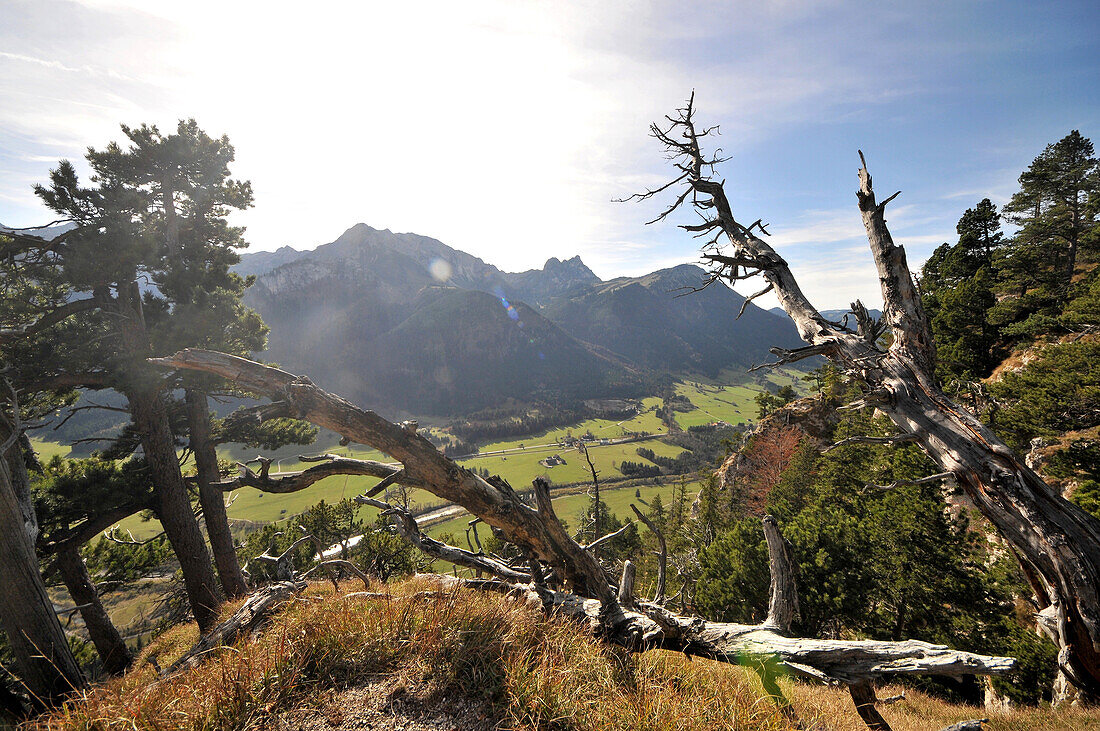 At Falkenstein over Pfronten, Ostallgaeu, Swabia, Bavaria, Germany