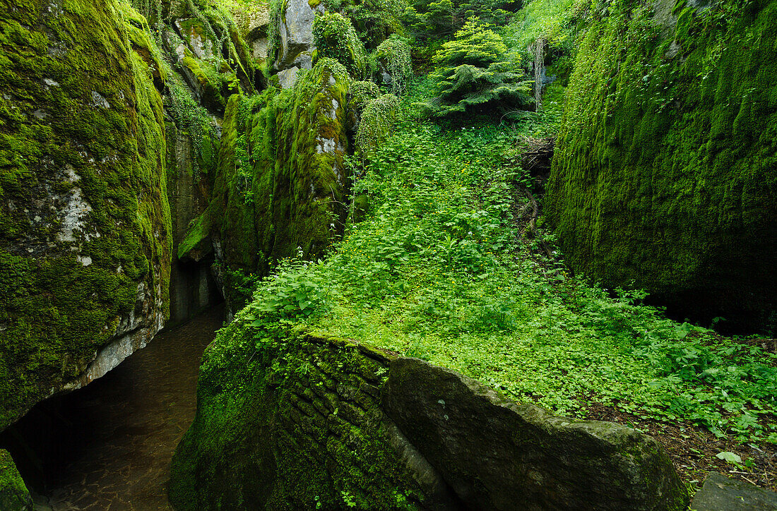 Sasso spicco, steps to grotto with bed from St. Francis, La Verna, Franciscan monastary, Monte Penna, St. Francis of Assisi, Via Francigena di San Francesco, St. Francis Way, near Chiusi della Verna, province of Arezzo, Tuscany, Italy, Europa