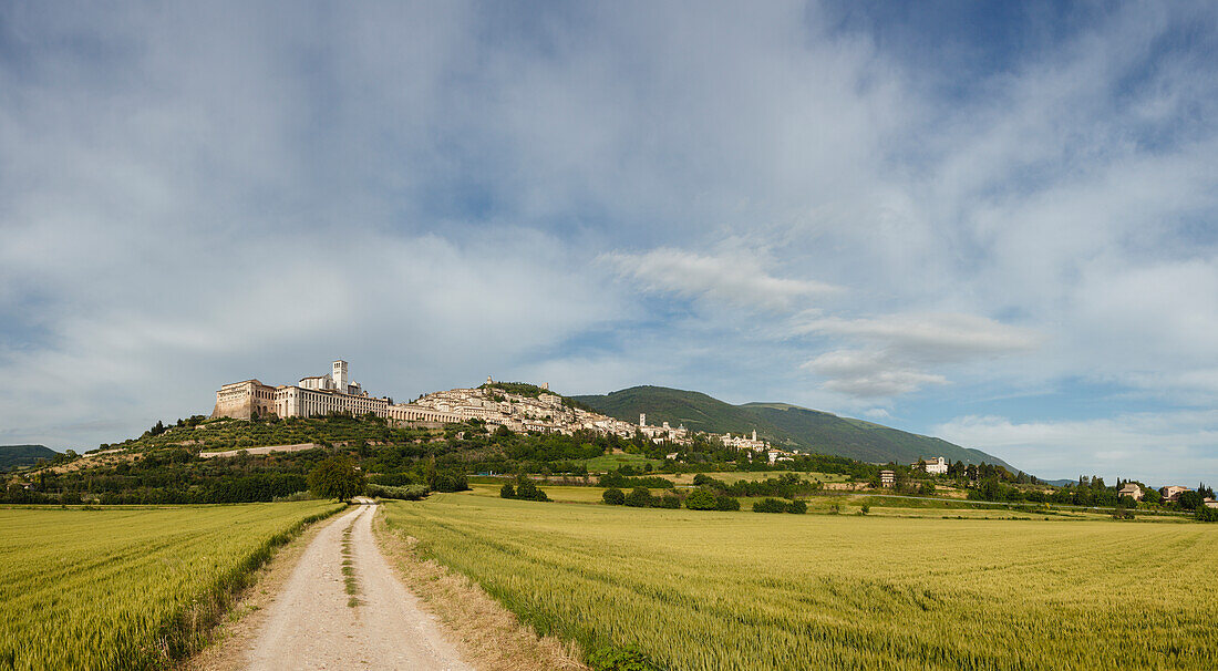 Assisi mit Basilika San Francesco im Hintergrund, UNESCO Weltkulturerbe, Franziskus von Assisi, Via Francigena di San Francesco, Franziskusweg, Assisi, Provinz Perugia, Umbrien, Italien, Europa