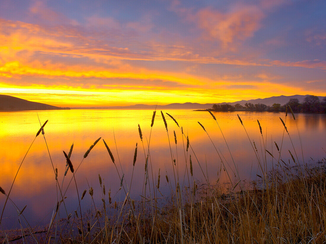 Sunrise at San Luis Reservoir, San Joaquin Valley, California