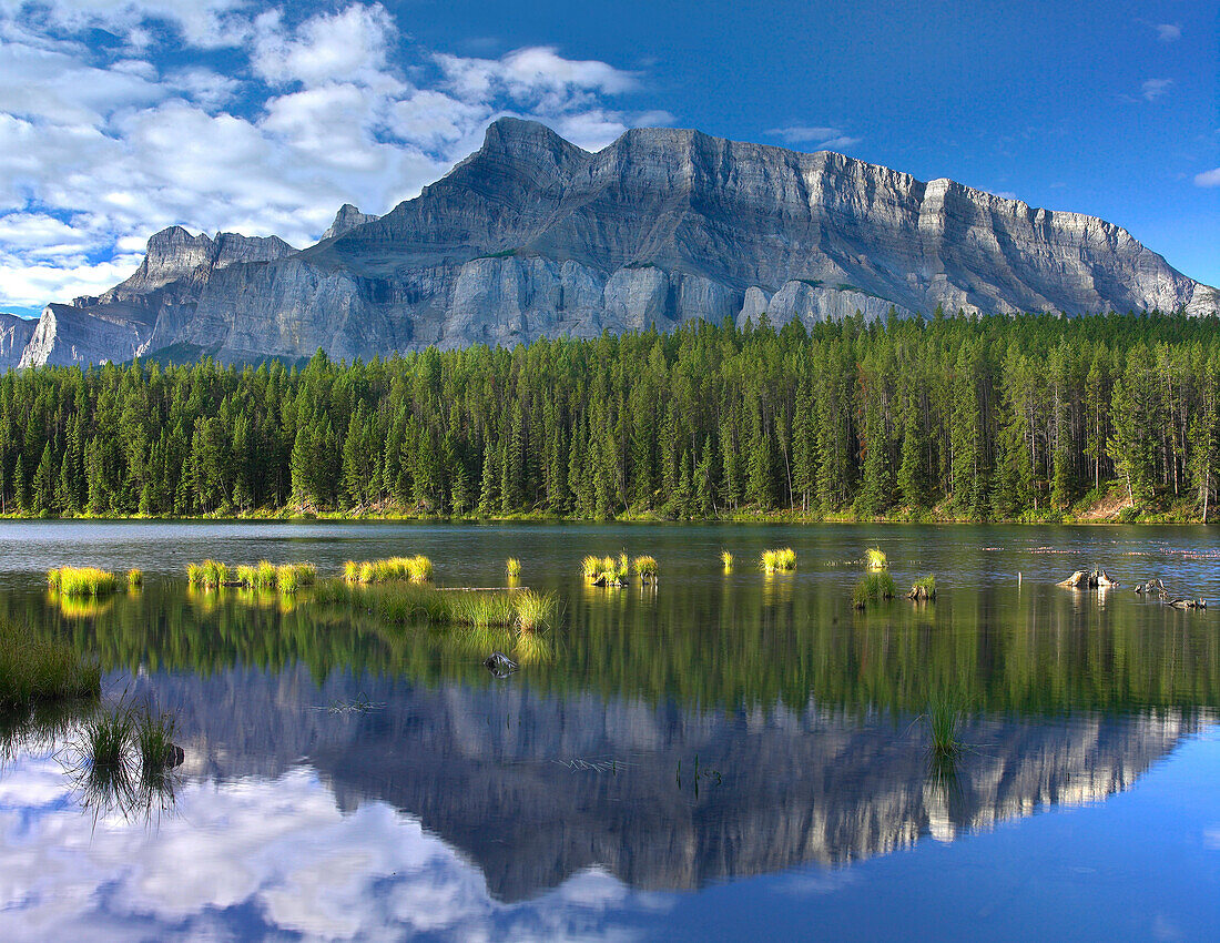 Mount Rundle and boreal forest reflected in Johnson Lake, Banff National Park, Alberta, Canada