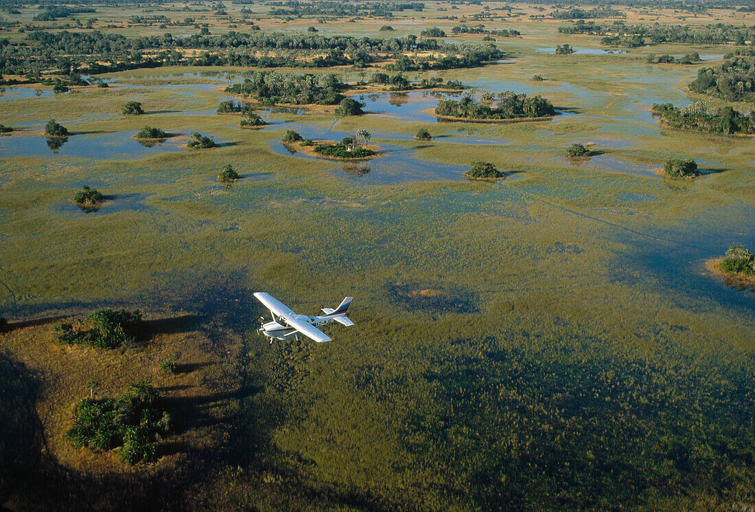 Flight safari, Okavango Delta, Botswana