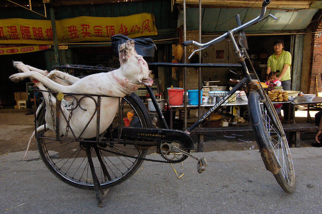 Butchered dog for eating being transported by bicycle, Yunnan Province, China