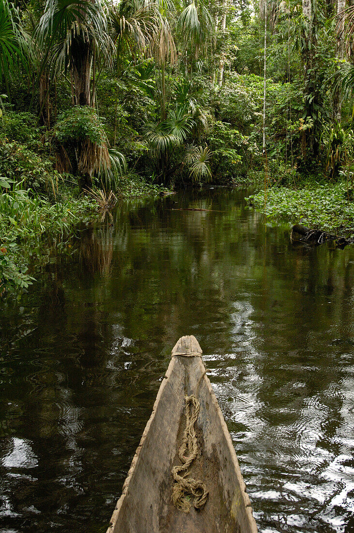 Dugout canoe in blackwater stream, Yasuni National Park Biosphere Reserve, Amazon rainforest, Ecuador
