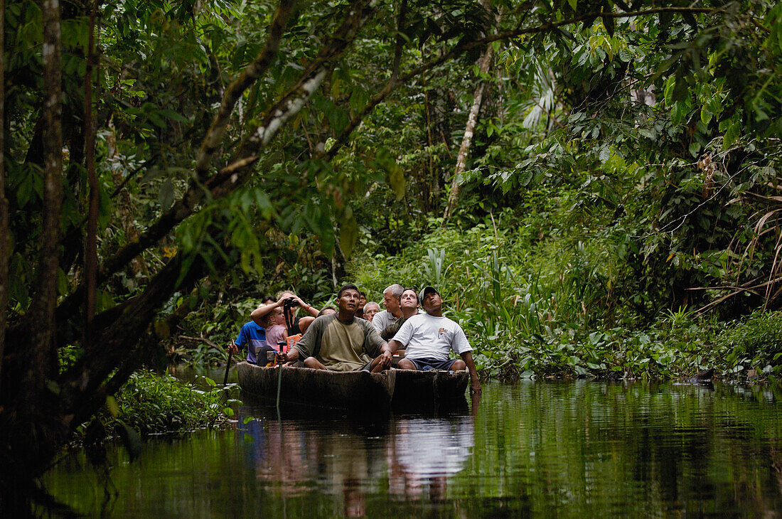 Tourists in dugout canoe in blackwater stream, Yasuni National Park Biosphere Reserve, Amazon rainforest, Ecuador