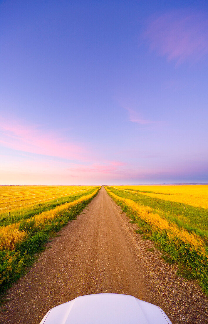 Colorful dramatic cumulus clouds floating above truck on gravel farm road crossing harvested wheat fields at sunrise, late summer, Alberta, Canada