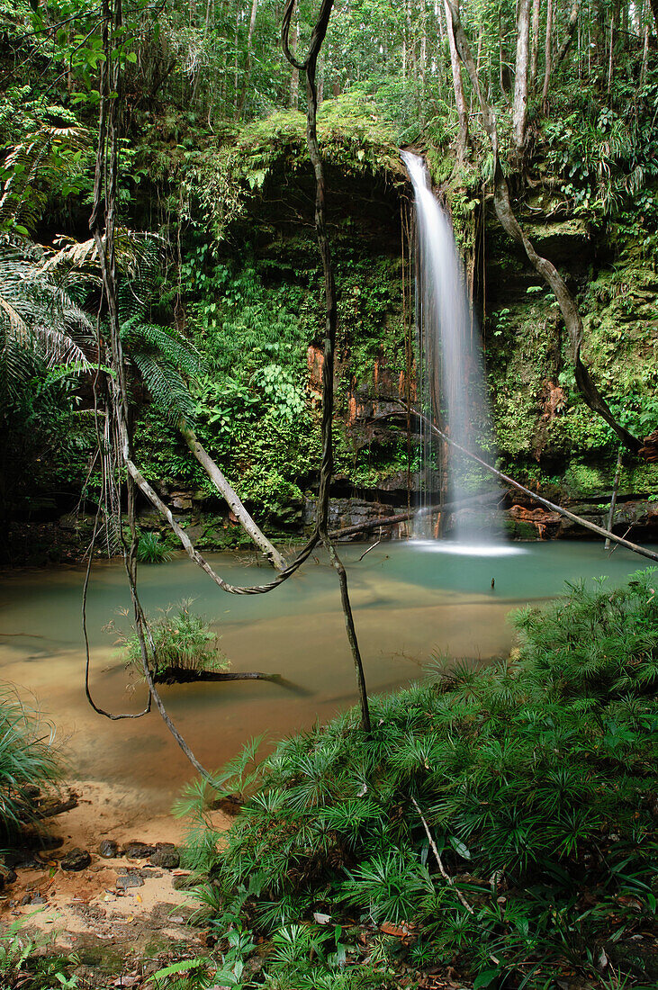 Waterfall cascading over layered bed of sandstone, Lambir Hills National Park, Malaysia